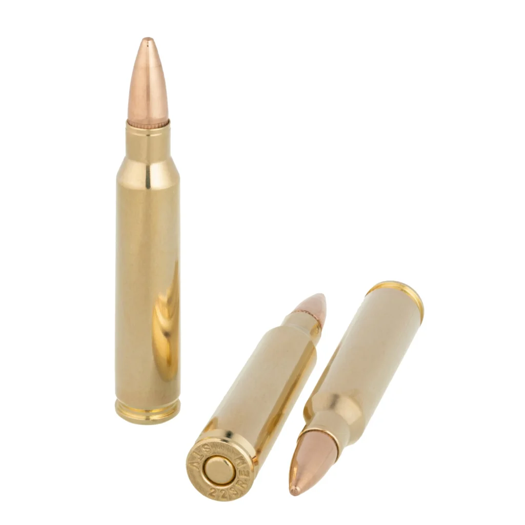 SCORPIO AMMO .223REM 55GR FMJ 20RDS - Image 2